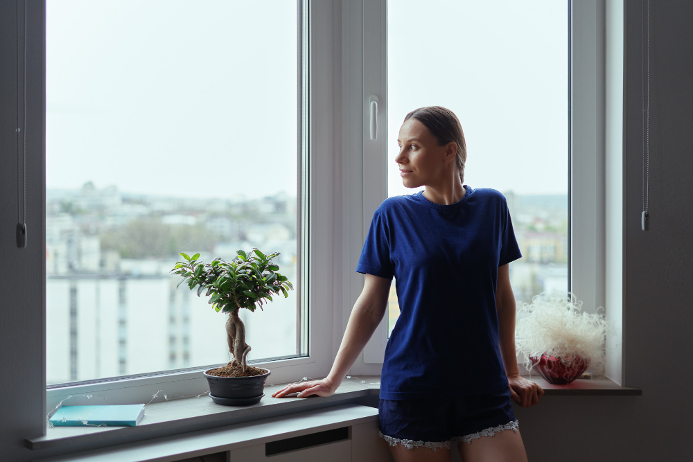 Johnson City Window Styles